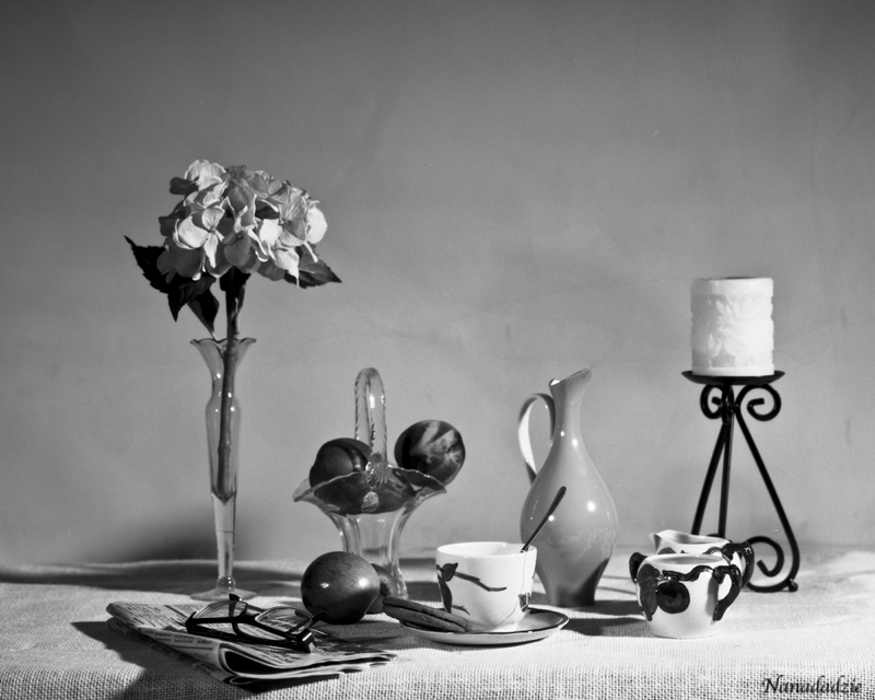 Still Lifes 