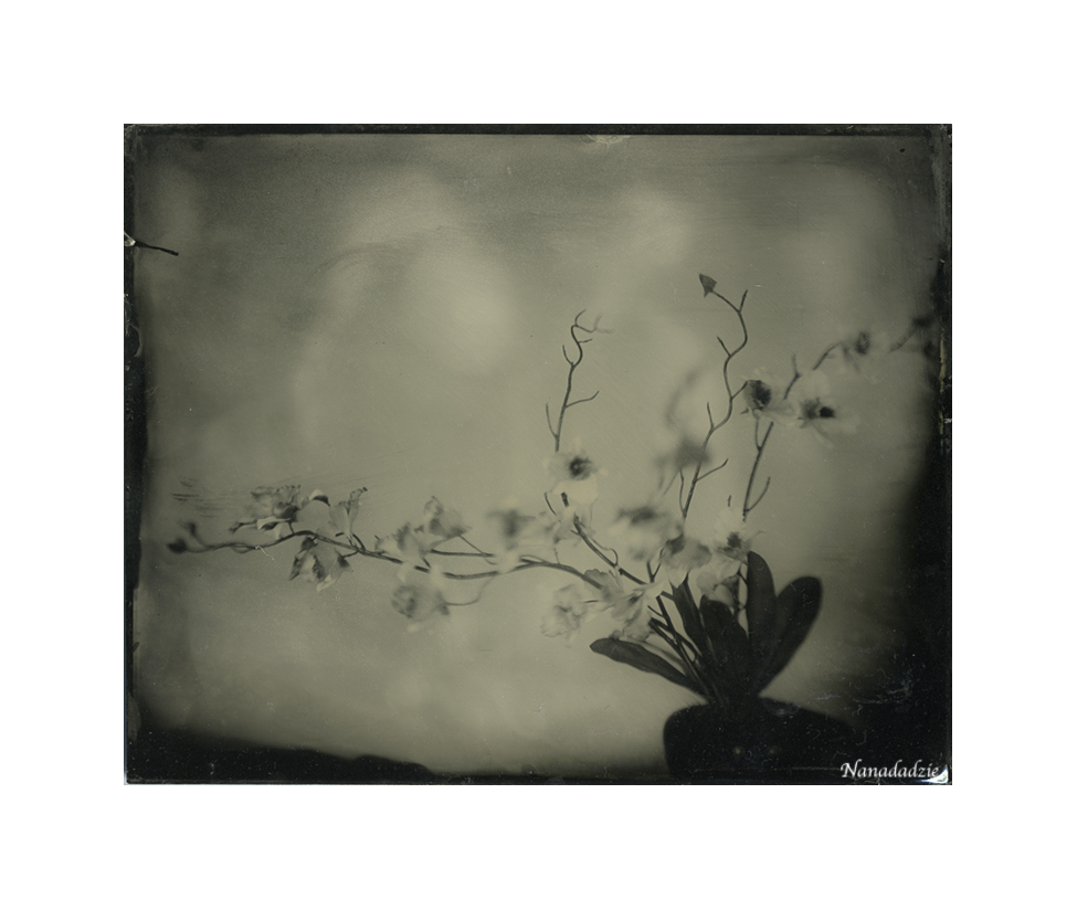 Wetplate - Other 