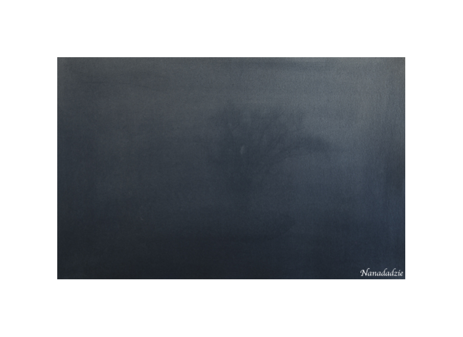 Gum Bichromate Prints 