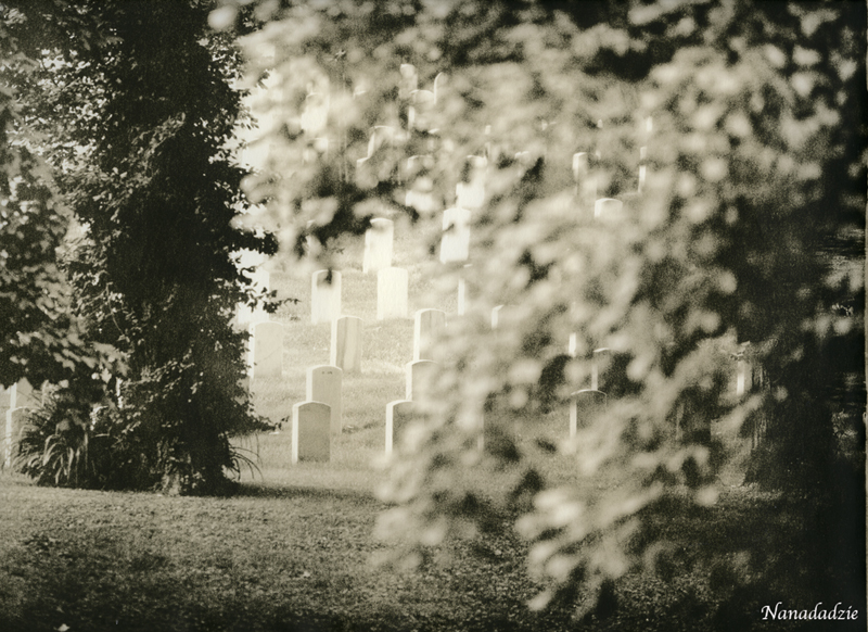 Lith Silver Gelatin Prints 