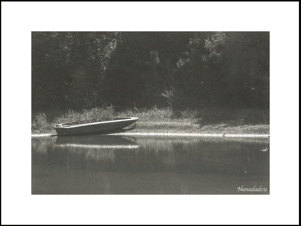 Platinum-Palladium Prints 