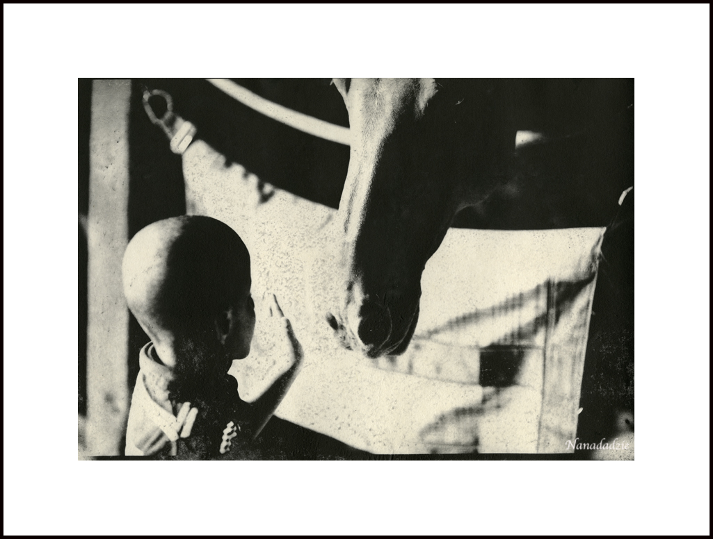 Photopolymer Intaglio Prints 