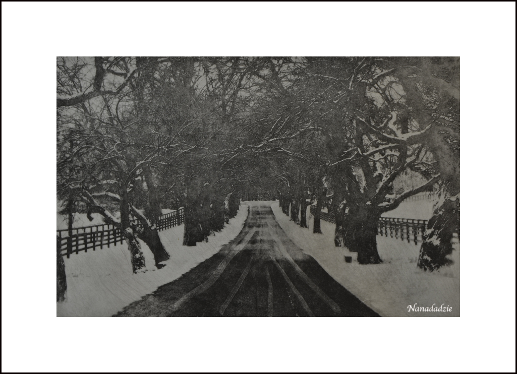 Copper Plate Photogravure 